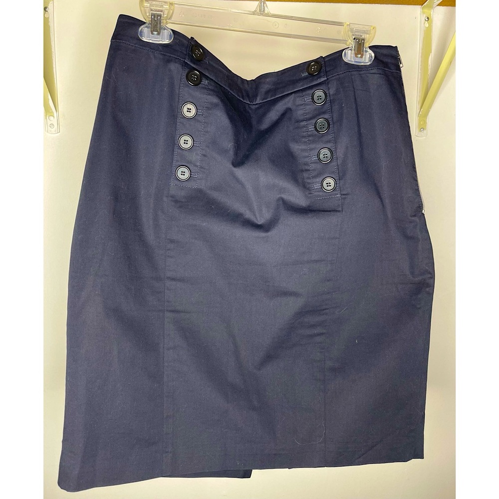 Ann Taylor Skirt